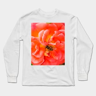 Bee on a pink rose Long Sleeve T-Shirt